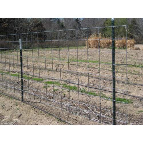 galvanized metal studded T post for farm fence