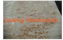 Sliced Cut White Burl Wood Veneer Maple With N/A Grain