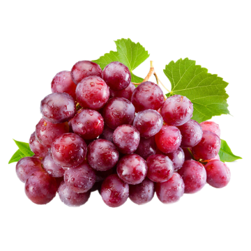 Extracto de semillas de uva 95% Proanthocianidinas