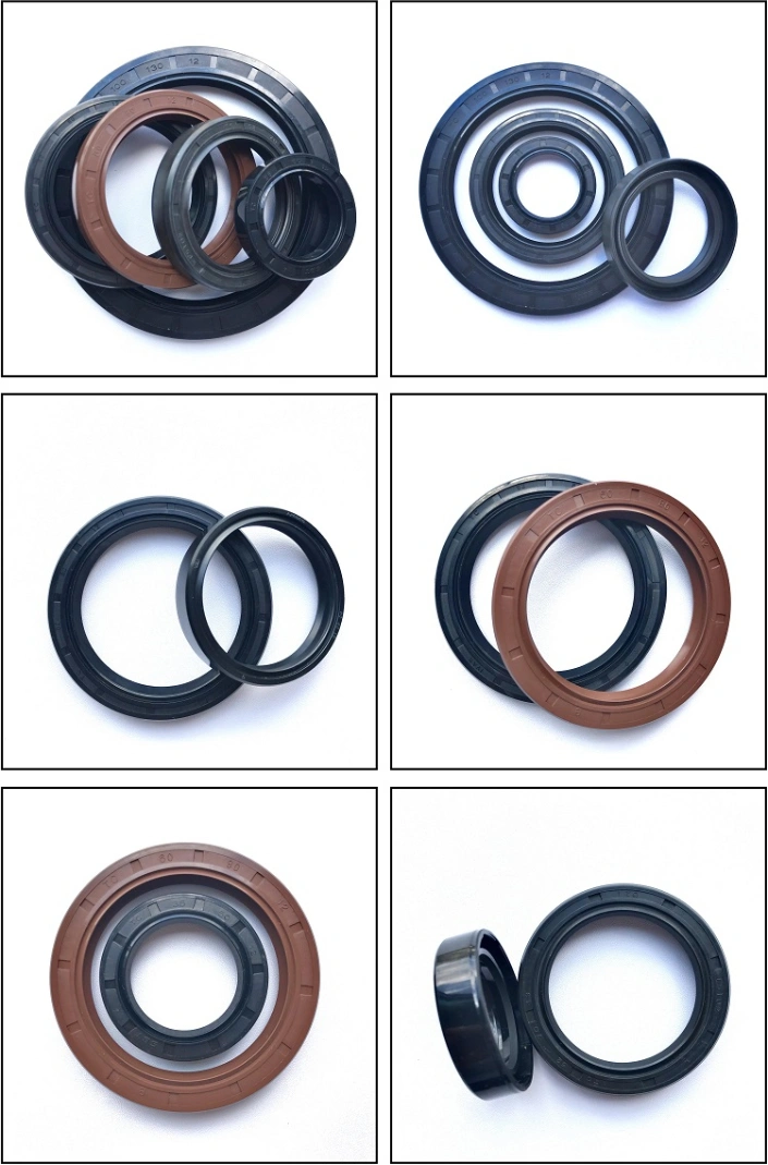 NBR FKM Tc Sc Skeleton Oil Seal