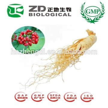 China Wholesale Herbal Supplement Ginseng Extract/Ginseng Powder