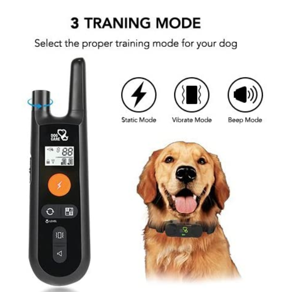 Dog Training Collar