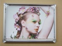 Well welcomed lovely poster frame,decorative poster frame(www)