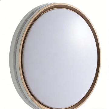 LED ceiling light with even brightness