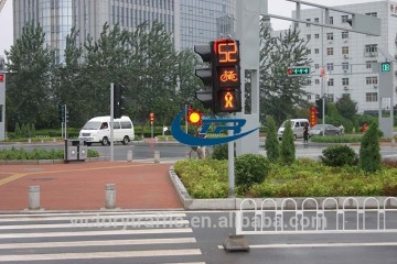 Dynamic pedestrian led traffic light