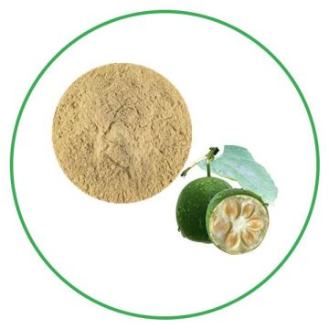 Top quality low price natural monk fruit extract