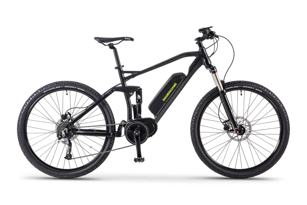 48V 1000W Bafang Middle Motor Mountain Electric Bicycle with Full Suspension