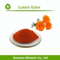 Extracto de flor de caléndula natural Aceite de éster de luteína 10%