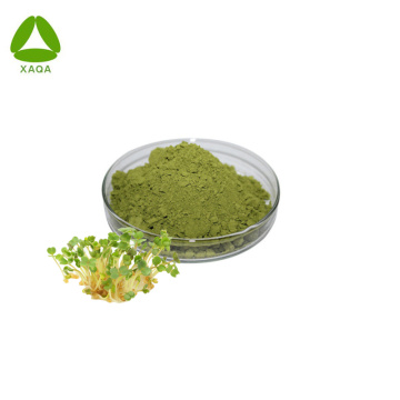 Natural Organic Pure Brocoli Sprout Extrait Powder