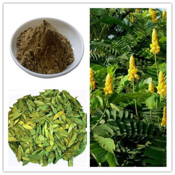 Natural Medicine Anti-bacterial & Anti-viral / Gastrointestinal Senna Leaf Extract Sennosides