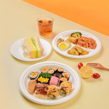Biodegradable Sugarcane Pulp Bagasse Cake Plate Tableware