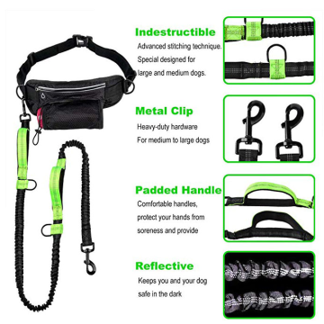 Bungee Black Free Dog Leash