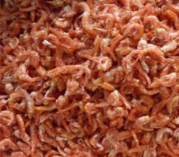 Search Engine for Frozen Head Off Dry Shrimp