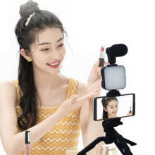 AY 49 Smartphone Tripod with LED Light and Microphone Vlogging Kit