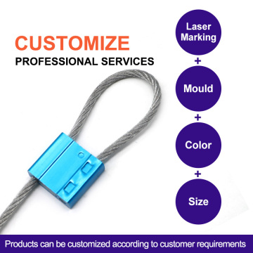cable seal for container