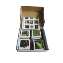 Custom Print Animal Memory Card Game