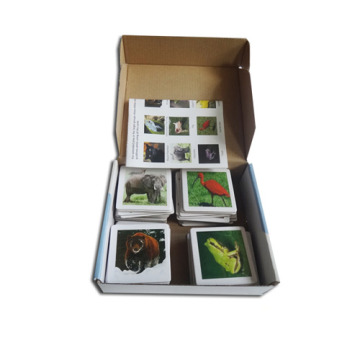 Custom Print Animal Memory Card Game