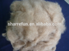 Dehaired Dog Hair Brown