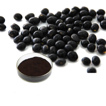 High quality black soybean hull extract powder