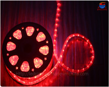 2 Wires 24V LED Christmas Rope Light