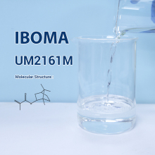 UM2161M IBOMA Isobornyl Methacrylate