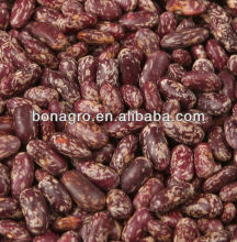 chinese Purple speckled kidney bean