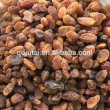 dried brown raisin with good quality for import