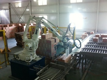 Robot palletizer manufacturer /palletizer robot manufacturer