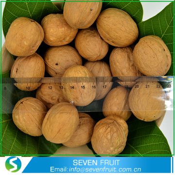 Dried Style and Food Use whole walnuts in shell