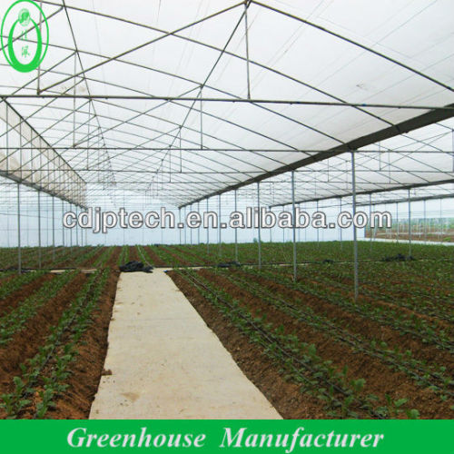 Agriculture Greenhouse Film