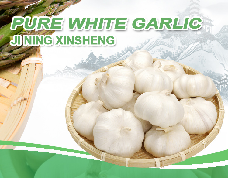 Pure white garlic