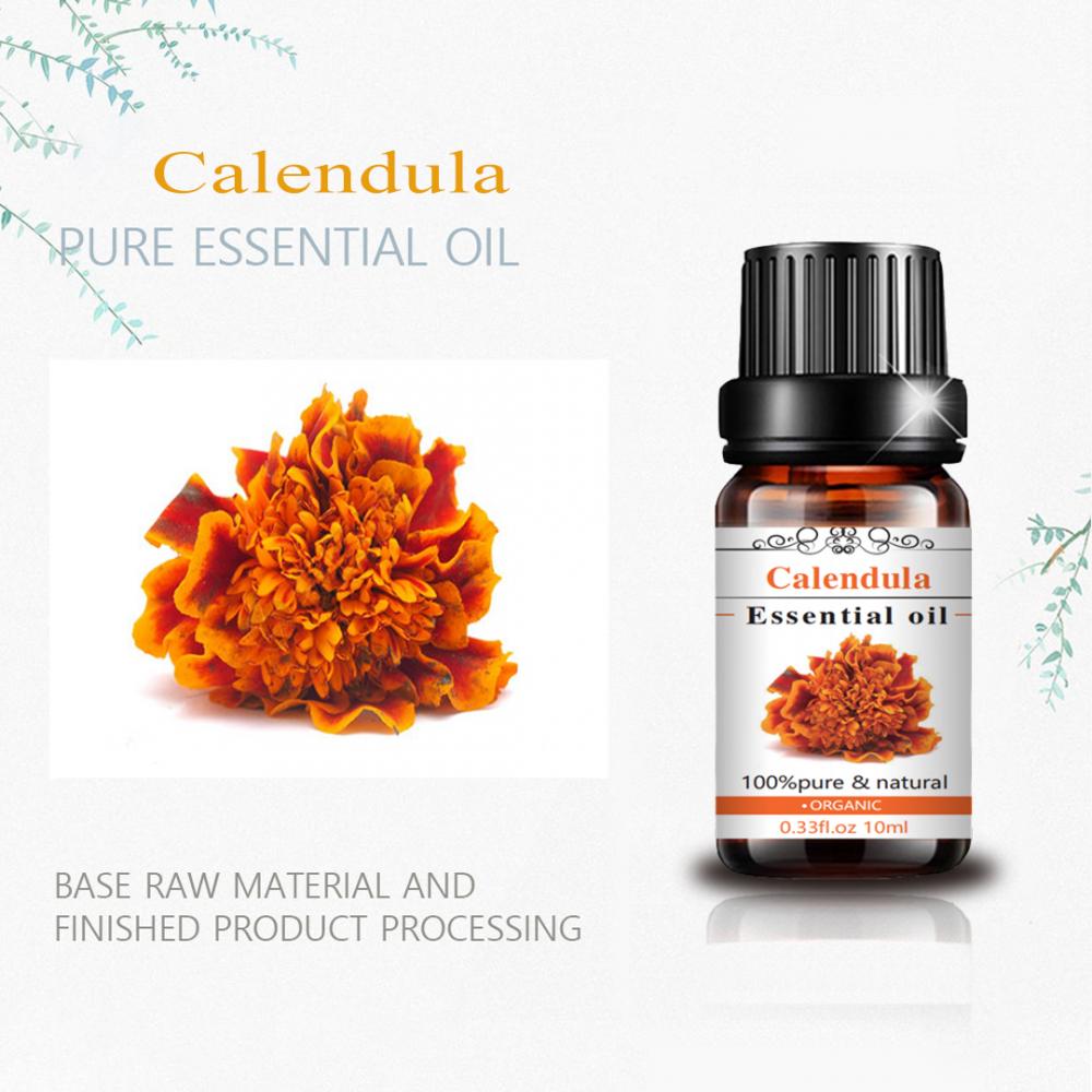 Best Quality 100% Pure Natural Organic Calendula Essential Oil Skin Care