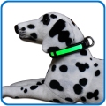 Collare per cani ricaricabile a Led in nylon regolabile