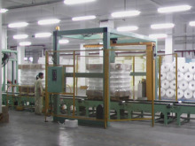 Rotary Arm Stretch Wrapping Machine
