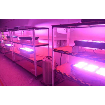 LED Grow Light with UV/IR for Indoor Plants