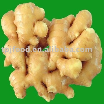 fresh Chinese ginger root