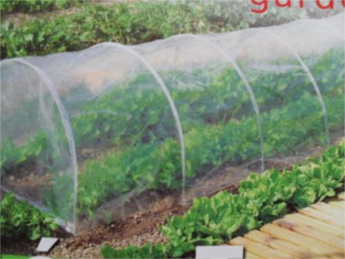 UV Resist Plastic Greenhouse Film