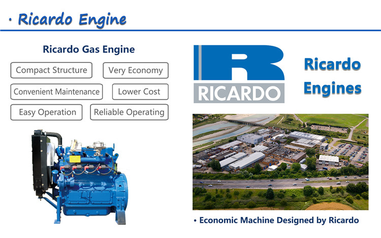 10kw 20kw 30kw 50kw 100kw 150kw 200kw silent biogas generator powered with weifang ricardo engine