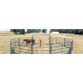 hot sale Horse Fence Panels /Pipe Fencing Horses