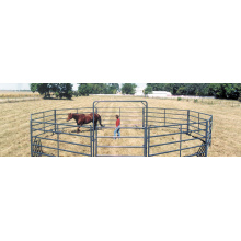 hot sale Horse Fence Panels /Pipe Fencing Horses