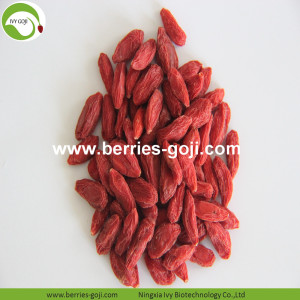 Pasokan Pabrik Buah Kering Sun Kering Goji Berries