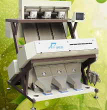 Optical Walnut sorting Machine and Walnut Kernel Grading Machine