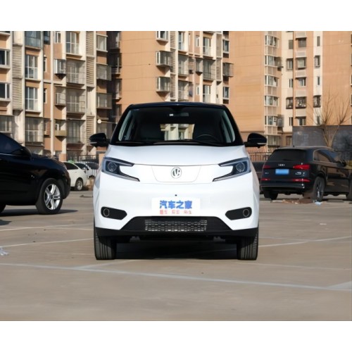 EV Small Electric Car 2023 Milometraxe de recarga 408 km á venda