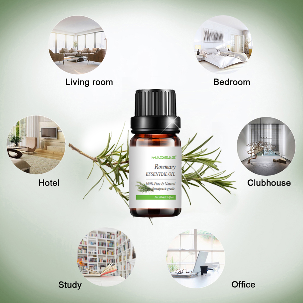 Pure Natural Rosemary Essential Oil For Hair Growth