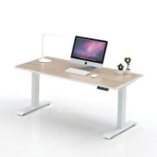 Ergonomic Reclining Sit Stand 2 Person Workstation