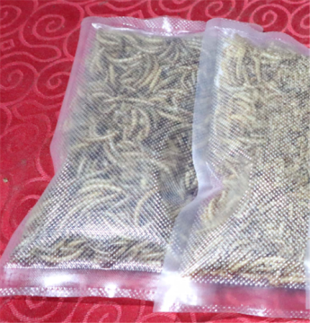 Canary Food In Cages