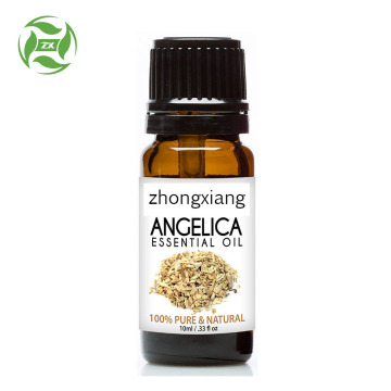 100% reines natürliches Angelica Root Essential Oil