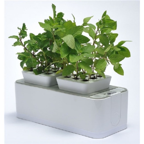 Indoor Mocle Flower Pot Grow System