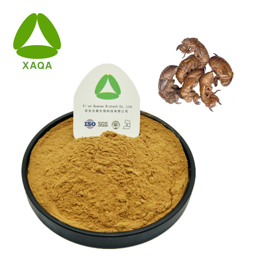 CiCadae Periostracum Cicada Slough Extract Powder