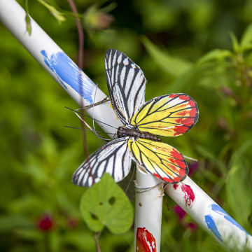 Signification du papillon de Pâques